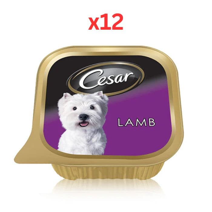 Cesar Lamb Wet Dog Food 100G (Pack of 12)