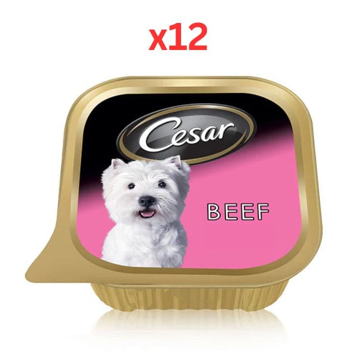 Cesar Beef Wet Dog Food 100G (Pack of 12)